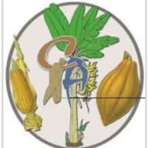 Commune d'Afanloum